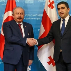 Şentop, Gürcistan Parlamentosu Başkanı Papuashvili ile görüştü