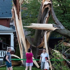 Kanada'da fırtına felaketi! 8 ölü