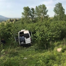 Ordu'da minibüs fındık bahçesine uçtu: 5 yaralı