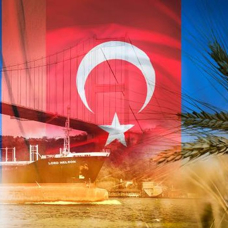 Rusya: İstanbul tahıl anlaşmasının uygulanması için taraflar çalışıyor