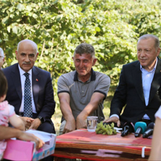 Başkan Erdoğan'dan fındık bahçesi ziyareti