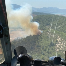 İzmir'de seraların bulunduğu bölgede çıkan yangın ormana sıçradı