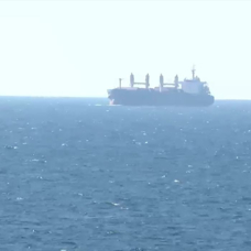 Ukrayna'dan çıkan 3 gemiden ikincisi de İstanbul açıklarına ulaştı