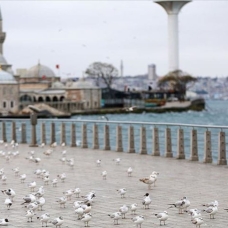 İstanbul'da koronavirüs tedbirlerine büyük oranda uyuluyor