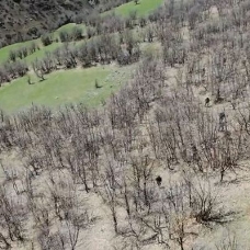 Şemdinli'de, drone destekli operasyonda PKK'ya ait silah mühimmat ele geçirildi