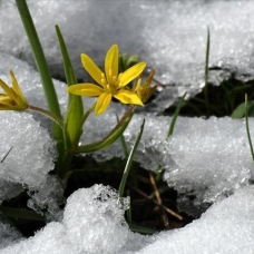 Kars'ta etkili olan kar güzel görüntüler oluşturdu