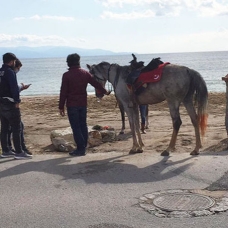 Plajda atlarıyla gezen ciritçilere 16 bin TL ceza