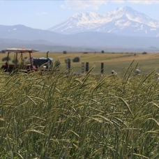 Türk tohumları 80 ülkenin tarım arazilerinde filizleniyor