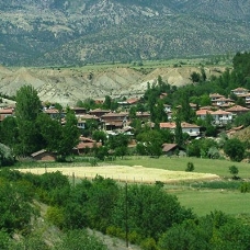 Sinop'ta bir köy karantinaya alındı
