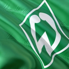 Werder Bremen Bundesliga'da kaldı