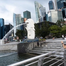 Singapur'da dang humması vakaları 16 binin üzerinde