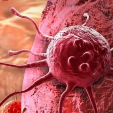 Türk bilim insanlarından kanser için önemli keşif