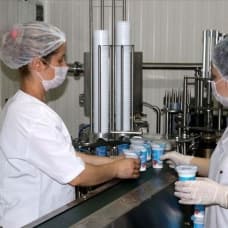 Tonlarca süt kadın eliyle ekonomiye kazandırılıyor