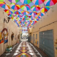 Tunus'taki metruk tarihi sokak şemsiyelerle rengarenk