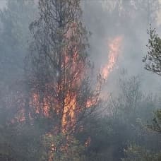 Sakarya'da korkutan orman yangını: Bölgeye çok sayıda ekip sevk edildi