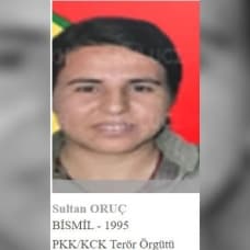 Bitlis'te öldürülen 3 teröristten birinin gri listede olduğu tespit edildi