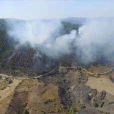 Kastamonu ve Sakarya'da çıkan orman yangınlarına müdahale ediliyor