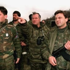 'Bosna Kasabı' lakaplı Mladic'in temyiz kararı için kritik gün