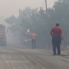 Ankara Nallıhan'da çıkan orman yangını kontrol altına alındı