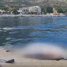 İzmir Karaburun'da dalgıç kıyafetli bir kişinin cesedi bulundu