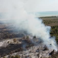 Kızılırmak Deltası Kuş Cenneti'nde korkutan yangın