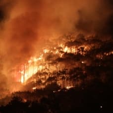 Şeytan Sofrasın'daki orman yangını kontrol altına alındı