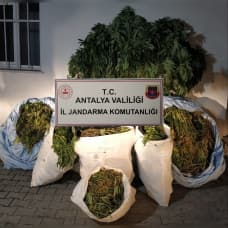 Antalya'da uyuşturucu tacirlerine operasyon! 161 kilo  esrar ele geçirildi
