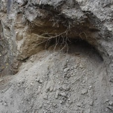 Aydın'da meydana gelen toprak kaymasıyla ortaya çıktı! İnşaat temelinden kafatası ve kemik çıktı