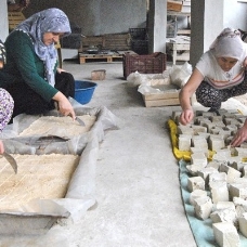İzmirli öğrencilerin tarım projesi Ödemiş'teki kadınlara ilham oldu