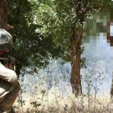 PKK'da çözülme hız kazandı! 5 örgüt mensubu daha teslim oldu