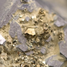 Tarım Kredi'den büyük müjde! 3,5 milyon onsluk altın tespit edildi