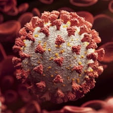 Mutant koronavirüsün en çok 20 yaş altı grubu etkilediği ortaya çıktı
