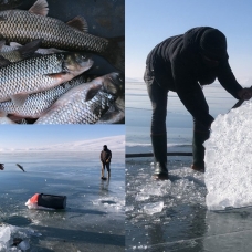 Çıldır Gölü'nde Eskimo tarzı av
