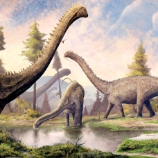 En büyük dinozor fosili Arjantin'de bulundu