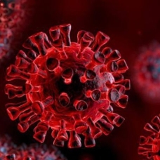 Koronavirüsle ilgili flaş uyarı: Virüs silah değiştirdi