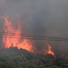 İzmir'de orman yangını kısmen kontrol altına alındı