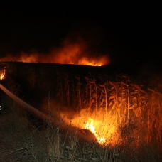 Edirne'de anız yangını