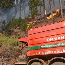 "Karacasu ve Bozdoğan'daki yangınlar kontrol altında"