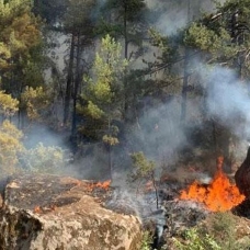 Aydın'da ve Muğla'da orman yangınları: Müdahale sürüyor