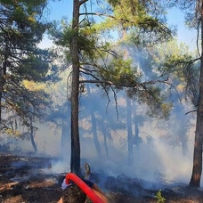 Tarsus'ta çıkan orman yangını kontrol altında