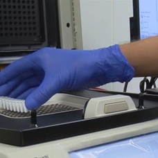 Doğruluk oranı yüzde 100'e yakın yeni PCR tanı kiti yolda