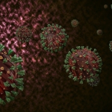 Koronavirüste "süper varyant"' alarmı