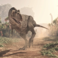 Dinozorlar da baş ağrısı çekiyormuş
