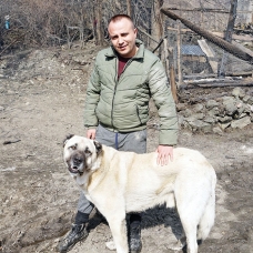 'Tatar'a can borcu