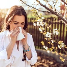 Alerjik astım hastalarına baharda polen uyarısı