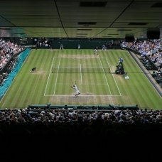 Wimbledon'da rekor para ödülü dağıtılacak