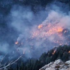 Mersin'deki orman yangınına müdahale sürüyor