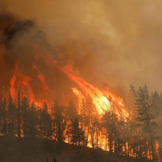 ABD'deki yangınlar ve fırtına endişe kaynağı olmayı sürdürüyor