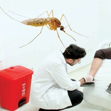 Yamyam sivrisinek alarmı