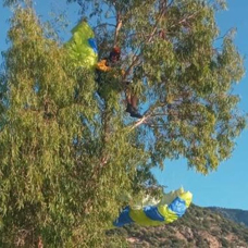 Yamaç paraşütü ağaca dolandı, ağaçta mahsur kaldı